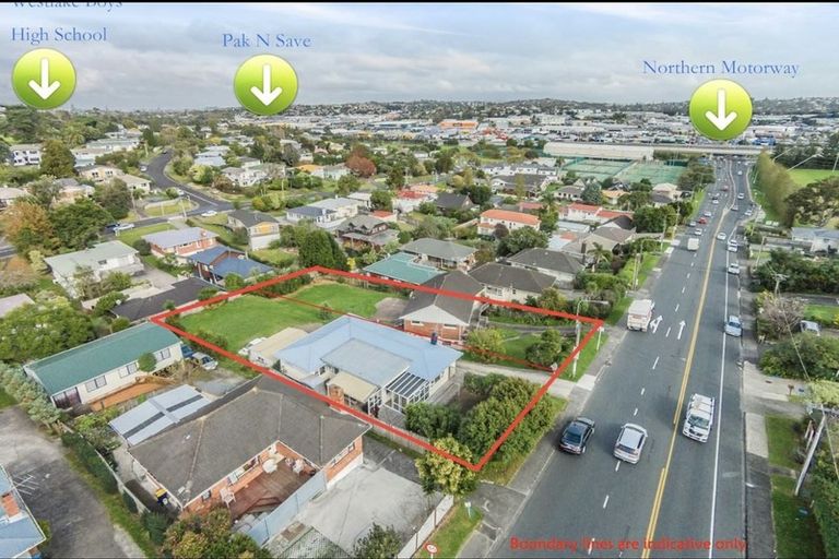 Photo of property in 20 Tristram Avenue, Forrest Hill, Auckland, 0620
