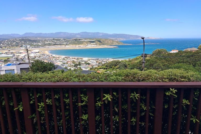 Photo of property in 24 Hornsey Road, Melrose, Wellington, 6023