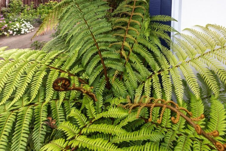 Photo of property in 307 Hetherington Road, Whangamata, 3620