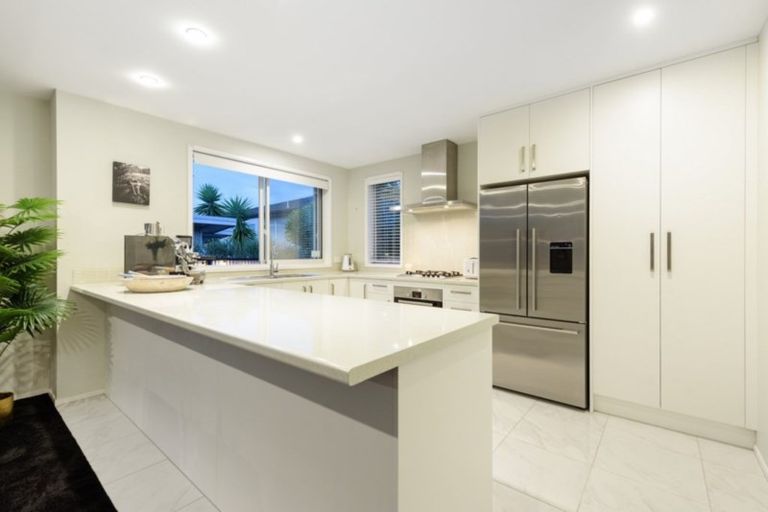 Photo of property in 47b Campbell Road, Mount Maunganui, 3116