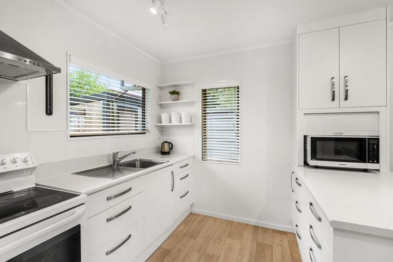 Photo of property in 99b Nixon Street, Hamilton East, Hamilton, 3216