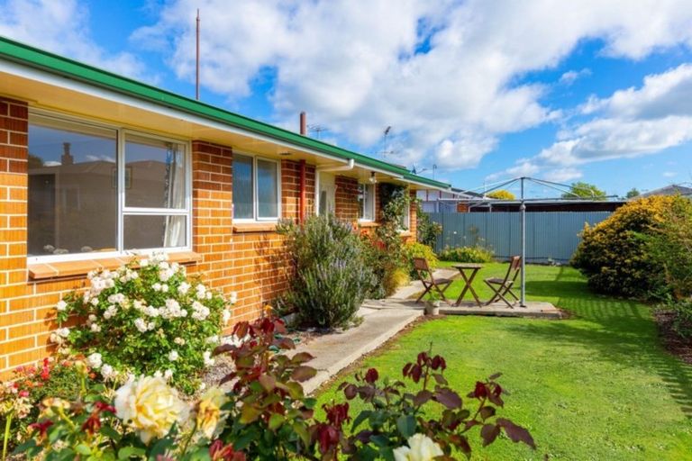 Photo of property in 17a Hale Street, Blenheim, 7201