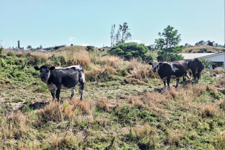 Photo of property in 47 Ngatarua Road, Putiki, Whanganui, 4500