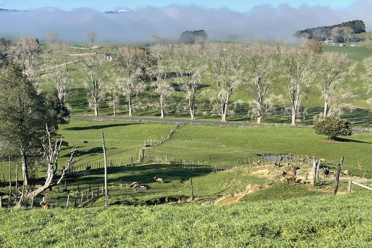 Photo of property in 80b Mangaotaki Road, Piopio, 3971