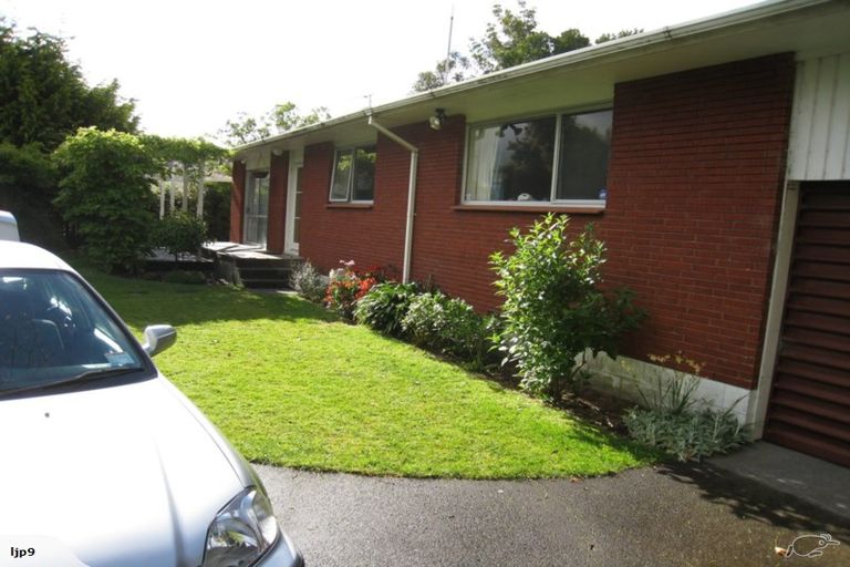 Photo of property in 40 Orion Street, Sunnybrook, Rotorua, 3015