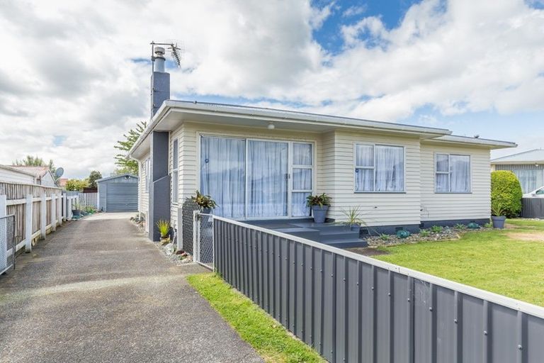 Photo of property in 3 Vogel Street, Levin, 5510