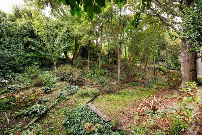 Photo of property in 221b Victoria Avenue, Hokowhitu, Palmerston North, 4410