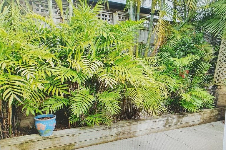 Photo of property in 28 Lochiel Place, Te Kamo, Whangarei, 0112