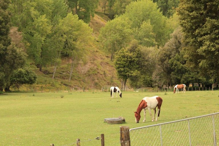 Photo of property in 1159 Kanakanaia Road, Whatatutu, Te Karaka, 4091