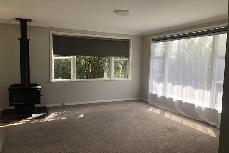 Photo of property in 60 Wakeman Street, Pahiatua, 4910