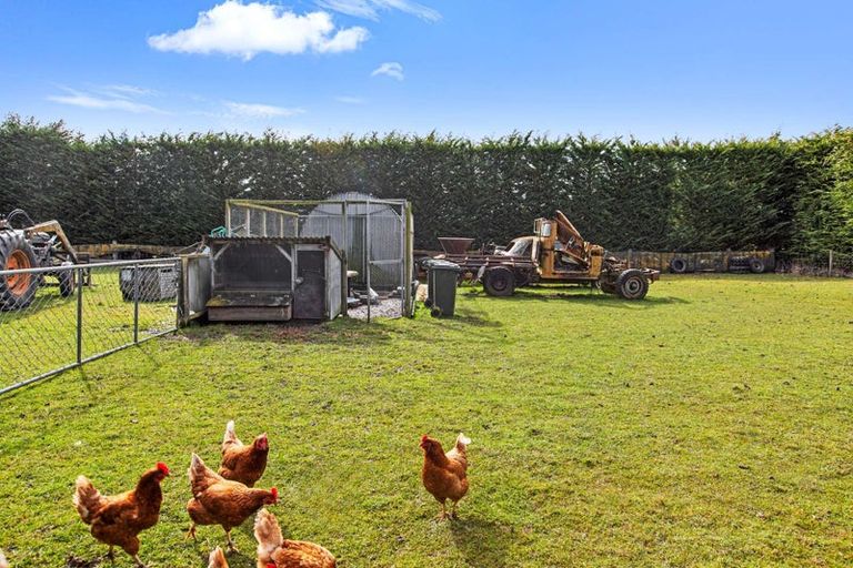 Photo of property in 843 Mandeville-kingston Crossing Road, Riversdale, Gore, 9776