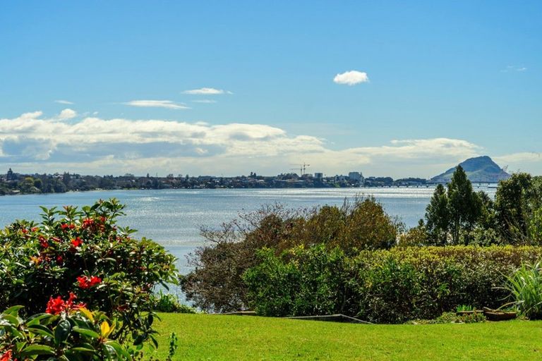 Photo of property in 234 Maungatapu Road, Maungatapu, Tauranga, 3112