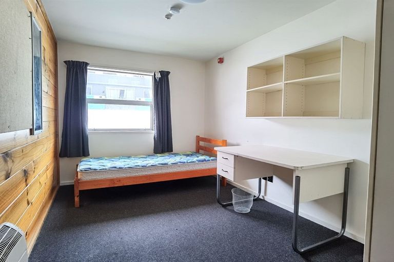 Photo of property in Drummond Street Flats, 15/19u Drummond Street, Mount Cook, Wellington, 6021
