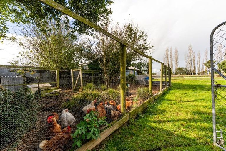 Photo of property in 72 Acacia Drive, Levels, Timaru, 7973