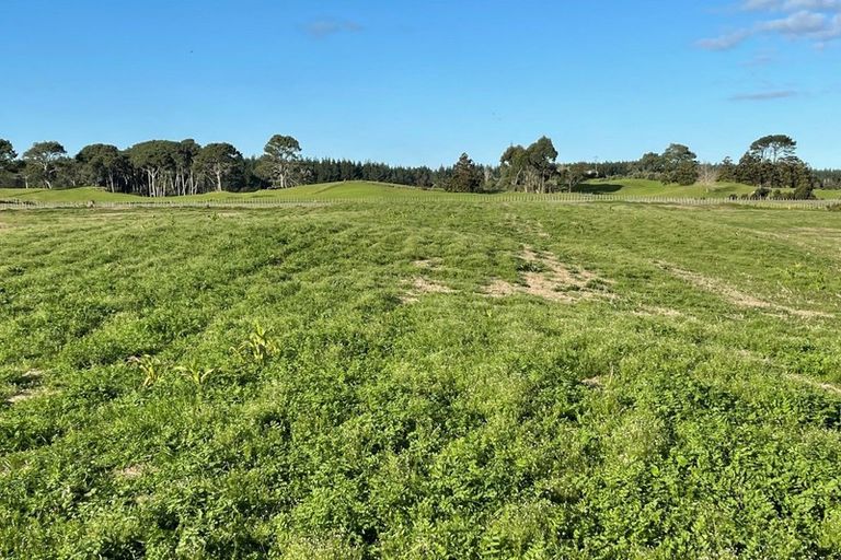 Photo of property in 213 Black Swamp Road, Mangawhai, Wellsford, 0975