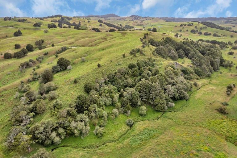 Photo of property in 1754 Ararua Road, Ararua, Matakohe, 0594