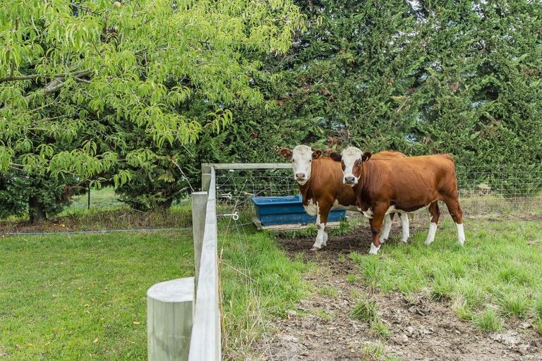 Photo of property in 15 Stewarts Road, Leeston, 7682