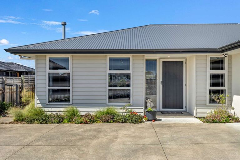 Photo of property in 17 Morrell Street, Tawhero, Whanganui, 4501