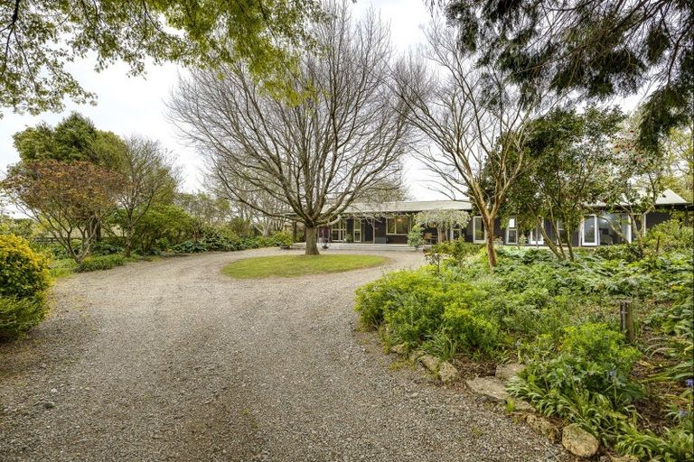 Photo of property in 210 Raupare Road, Twyford, Hastings, 4175