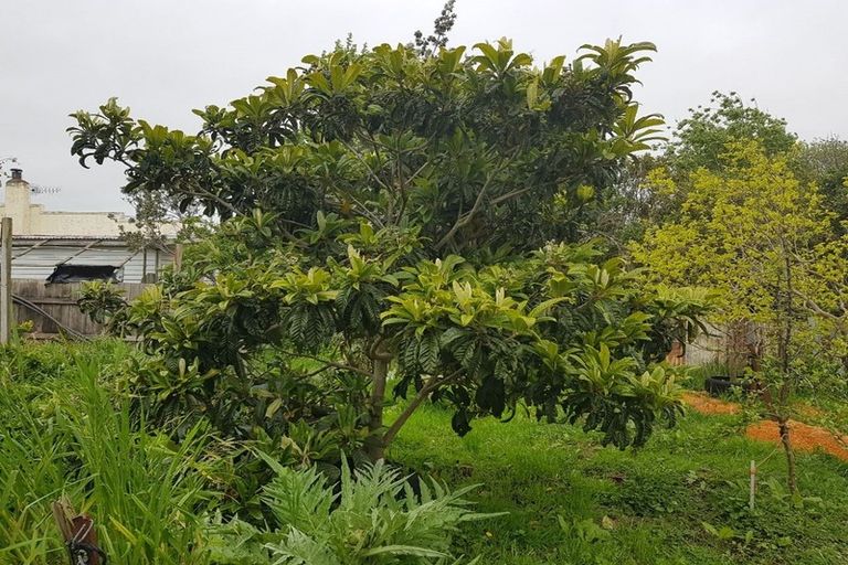 Photo of property in 58 Marumaru Street, Marton, 4710