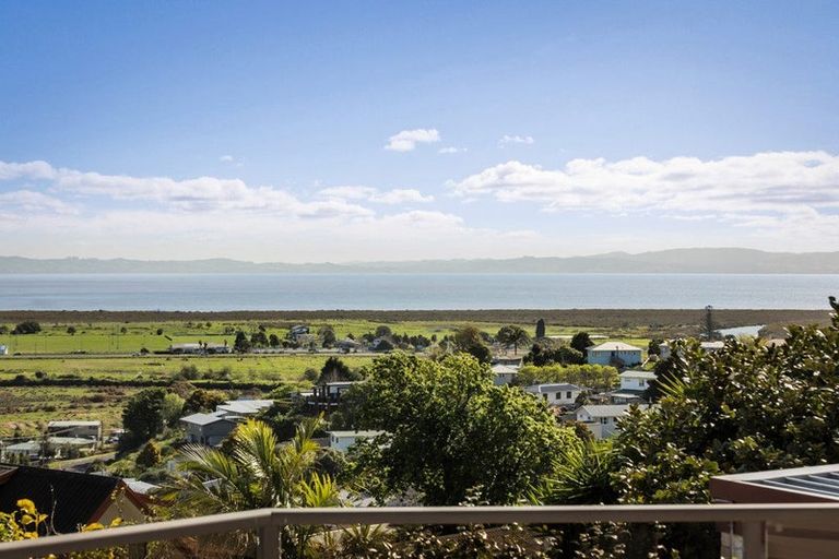 Photo of property in 224 Reservoir Road, Thames, 3500