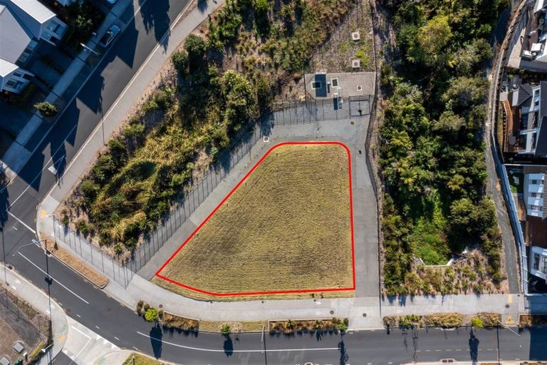 Photo of property in 87 Joshua Carder Drive, Hobsonville, Auckland, 0616