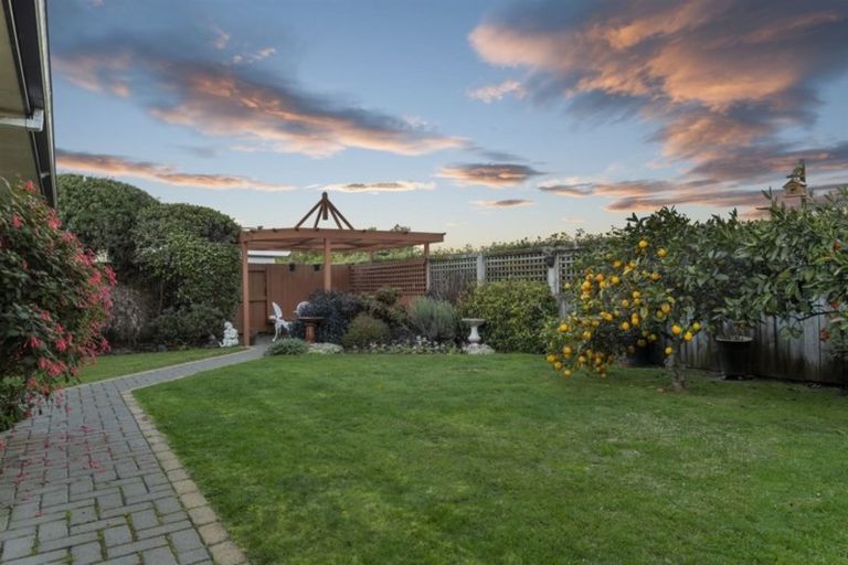 Photo of property in 42 Manor Park Drive, Pyes Pa, Tauranga, 3112