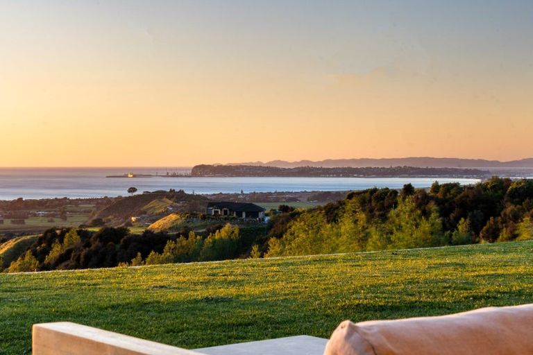 Photo of property in 171 Eskridge Drive, Eskdale, Napier, 4182