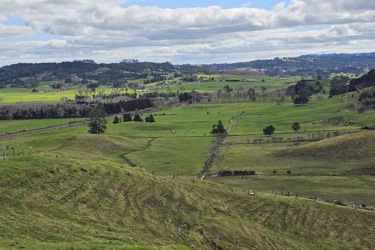 Photo of property in 113c Marua Road, Hikurangi, 0181