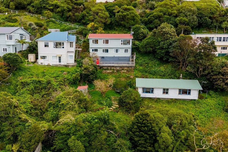 Photo of property in 31 Hornsey Road, Melrose, Wellington, 6023