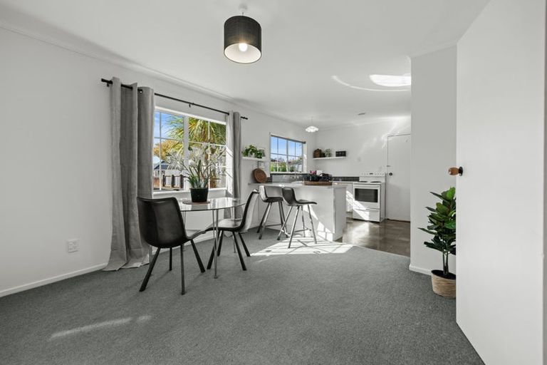 Photo of property in 10a Ihle Street, Terrace End, Palmerston North, 4410