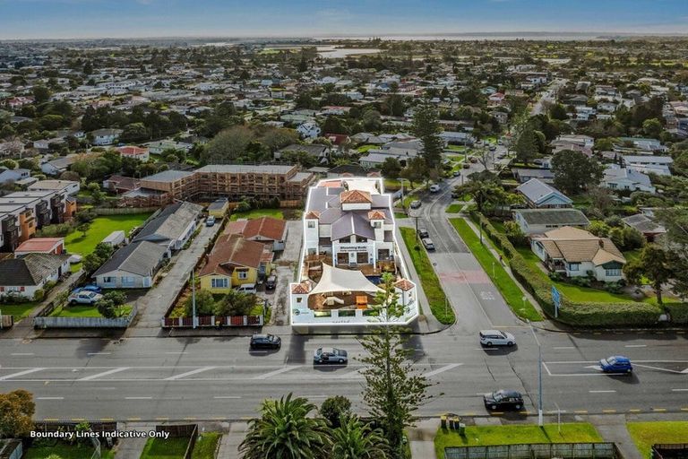 Photo of property in 3145 Great North Road, New Lynn, Auckland, 0600