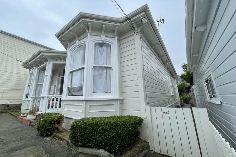 Photo of property in 250 Adelaide Road, Newtown, Wellington, 6021