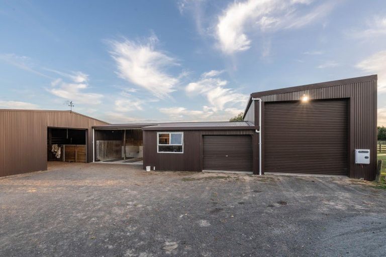 Photo of property in 81 Racecourse Road, Cambridge, 3493