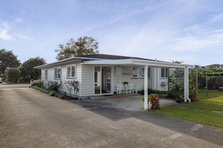 Photo of property in 74 Kennedy Drive, Levin, 5510