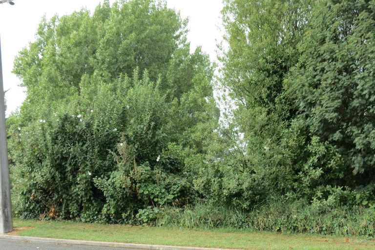 Photo of property in 27-35 Cambridge Street, Kensington, Timaru, 7910