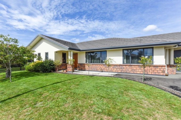 Photo of property in 69 Templemore Drive, Richmond, 7020