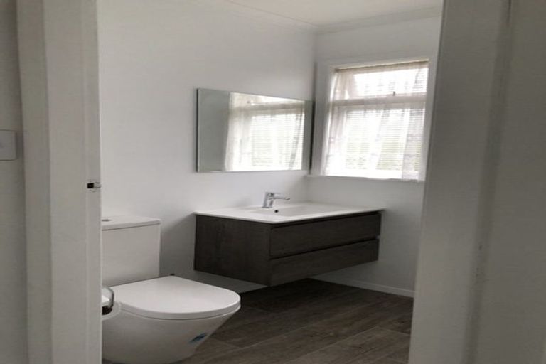 Photo of property in 18 Dudley Street, Levin, 5510