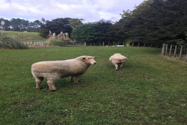 Photo of property in 114 Hamilton Road, Warkworth, 0982