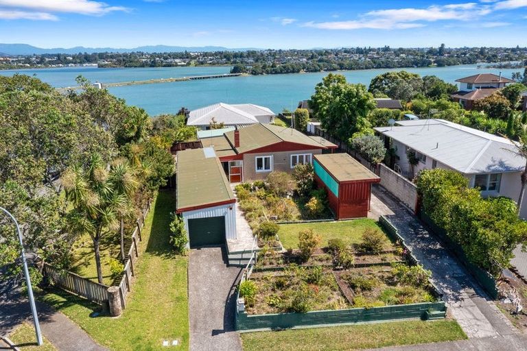 Photo of property in 51 Ririnui Place, Maungatapu, Tauranga, 3112