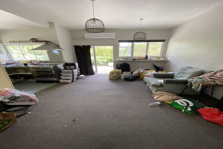 Photo of property in 29 Durham Street, Aro Valley, Wellington, 6021