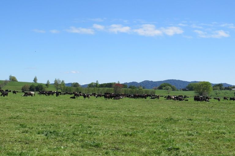 Photo of property in 30 Mathers Road, Hoon Hay, Christchurch, 8025