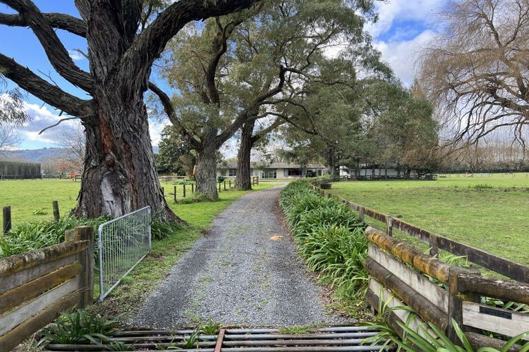 Photo of property in 166 Saint Kilda Road, Cambridge, 3493