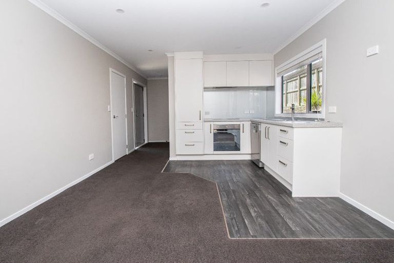 Photo of property in 16u4 Hammond Street, Hamilton Central, Hamilton, 3204