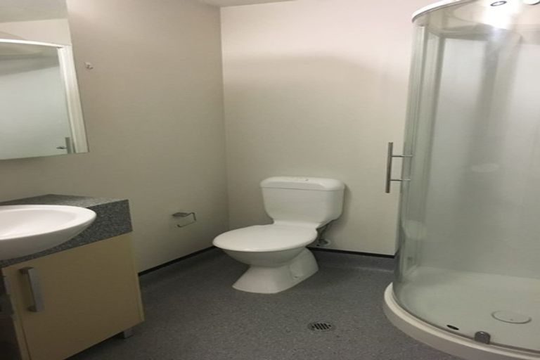 Photo of property in Dual Apartments, 103/142u Vivian Street, Te Aro, Wellington, 6011
