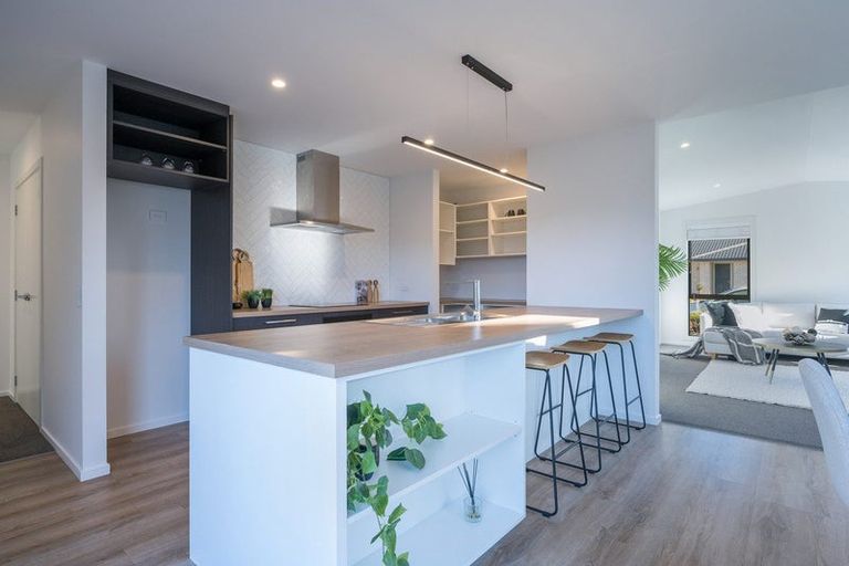 Photo of property in 8 Esher Lane, Richmond, 7020