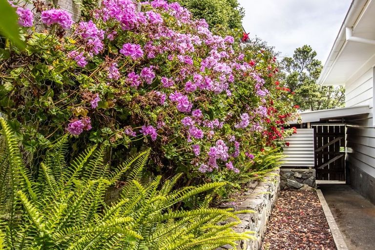 Photo of property in 14 Robert Street, Newlands, Wellington, 6037