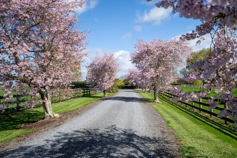 Photo of property in 5/103 Maungakawa Road, Cambridge, 3496