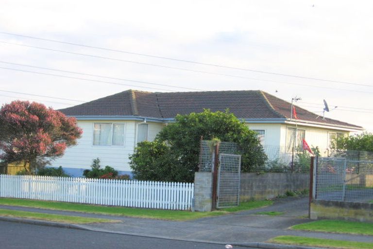 Photo of property in 21 Dissmeyer Drive, Clover Park, Auckland, 2019