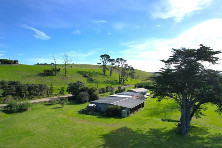 Photo of property in 259 Redhill Cemetery Road, Te Kopuru, Dargaville, 0371